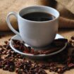 COFEE - DRINKS delivery in Brussels and Belgium